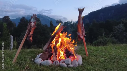 Patagonia National Park in Chile