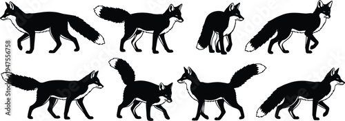 Fox Silhouette Collection, Wild Woodland Animal Running Walking and Standing Poses, Black Fox Wildlife Illustration Set for Nature and Fauna Design