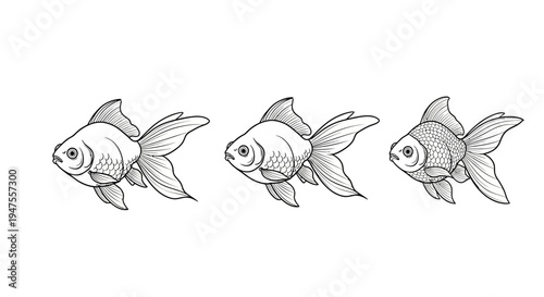 Three Goldfish in Various Shades of Gray