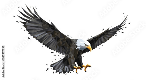 Adobe Illustrator Artwork