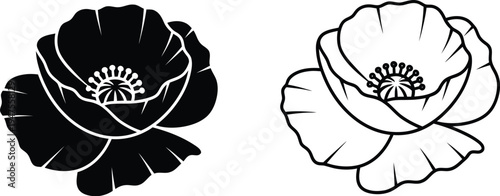 Black and white flower illustrations Vector