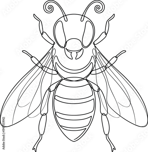 Bee insect line art illustration, detailed honeybee outline vector, flying pollinator bug design, nature wildlife entomology drawing isolated
