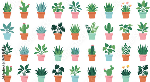 Potted houseplant collection vector set, indoor decorative plants and cactus illustrations, colorful flower pots, botanical home decor design elements