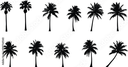 Palm tree silhouette collection with tropical coconut trees, summer beach nature vector set isolated for landscape, travel and island design