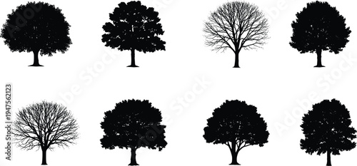 Tree silhouette collection with leafy and bare branches, natural forest plant vector set isolated for landscape design and environmental illustration