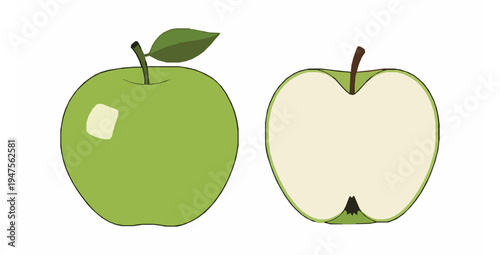 Fresh green apple whole and half cut isolated fruit vector illustration on white background