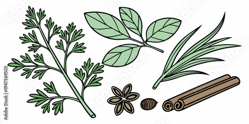 A diverse collection of fresh herbs and spices laid out on a white background