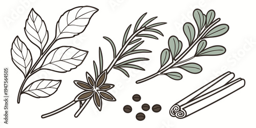 An assortment of various herbs and spices with leaves and seeds