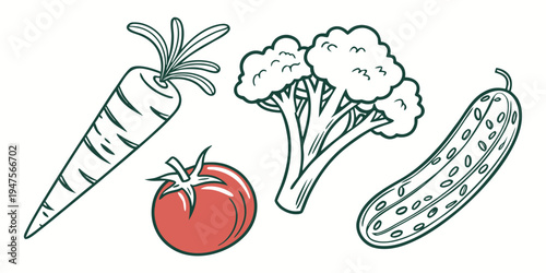 Assorted vegetables including a carrot, tomato, broccoli, and cucumber