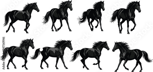 Black horse running silhouette collection with dynamic galloping poses, powerful stallion animal vector set isolated for equestrian and wildlife design