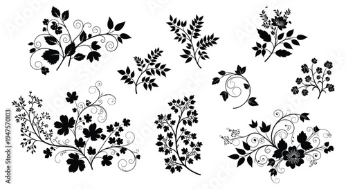 Elegant floral arrangements and swirling vines create a decorative botanical design silhouette high quality professional detailed