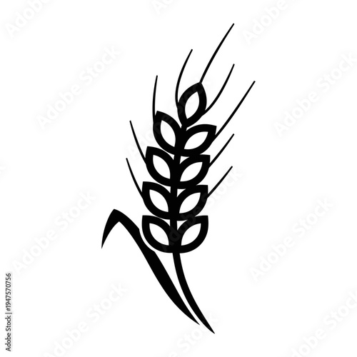 Wheat grain ears plant icon.