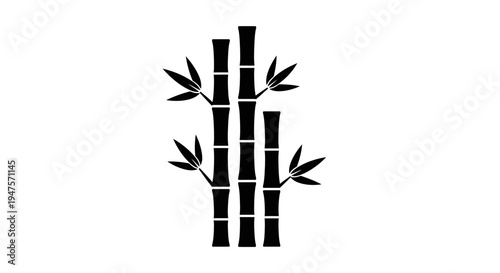 Bamboo plant with green leaves.