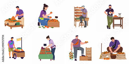 Collection of diverse vendors and farmers selling and organizing fresh orange persimmons in various market settings, isolated on white background.