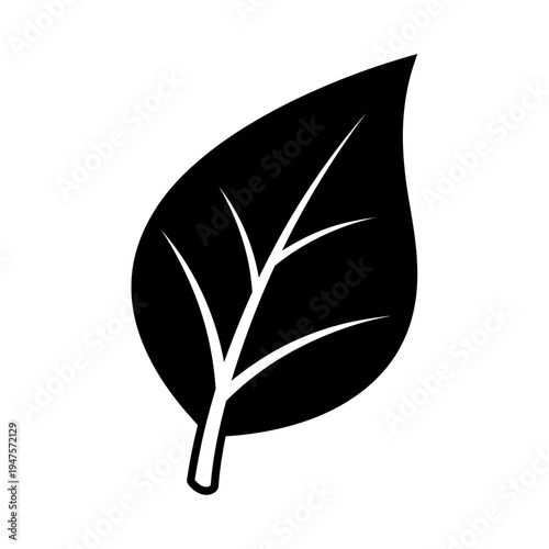 Black and white leaf illustration.