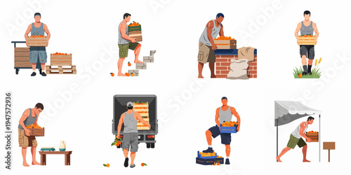 Set of illustrations depicting strong men working with crates of fresh oranges, carrying, loading, and distributing citrus fruit in various agricultural and logistical scenes.