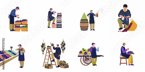 Flat vector illustration set of vineyard workers and market vendors spraying, sorting, and displaying fresh bunches of grapes in various settings.