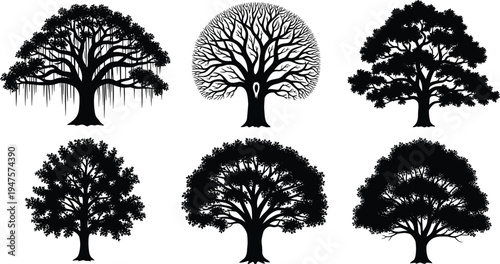 Six Stylized Black Silhouettes of Different Types of Trees nature
