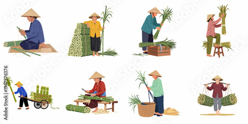 Set of flat vector illustrations depicting Asian farmers in conical hats harvesting, carrying, and processing sugarcane bundles isolated on a white background.