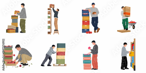 Flat vector illustration set of men working in a fruit warehouse, stacking crates of pomegranates, pushing pallets, and managing harvest logistics.