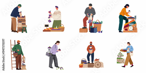 Collection of flat vector characters picking, buying, and selling fresh purple plums in various settings, featuring market stalls and harvest scenes.