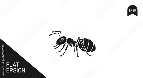 Black and white ant illustration side.