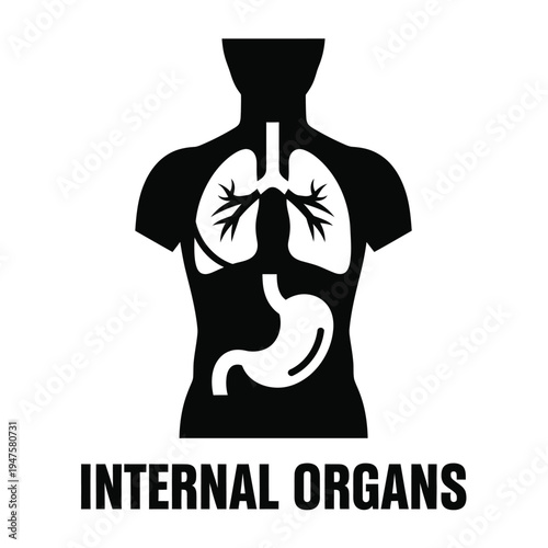 A simplified black silhouette depicting the human torso showcasing key internal organs like lungs stomach and esophagus high quality professional detailed modern elegant stylish