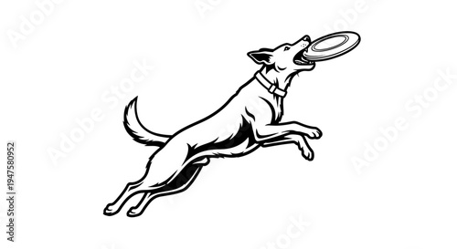 Dog jumping to catch a frisbee in mid-air.
