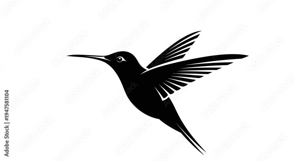 Fototapeta premium Black Hummingbird in Flight Profile.