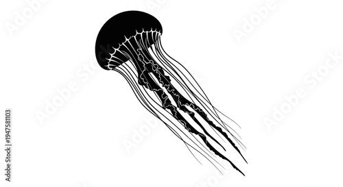 Black jellyfish swimming in water.