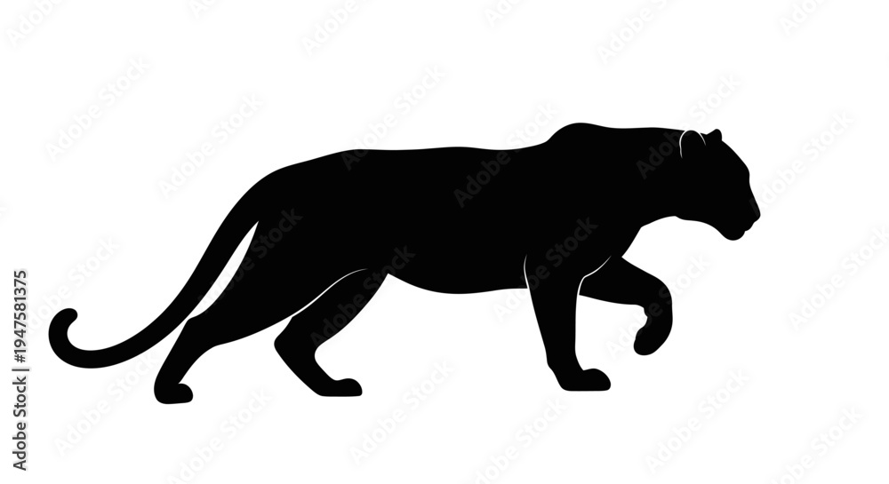 Fototapeta premium Black Panther Silhouette Walking Profile.