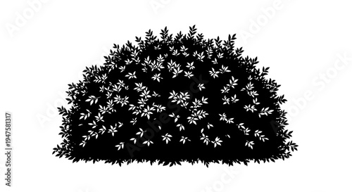 Black bush with small white flowers.