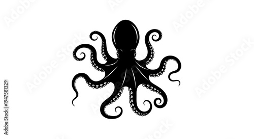 Black octopus with curled tentacles underwater.