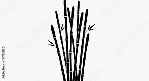 Black Paint Brushes Art Supplies.