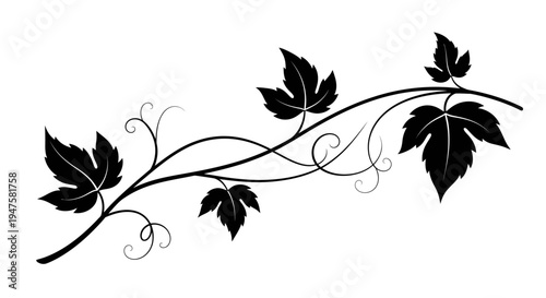 Black silhouette of vine leaves.