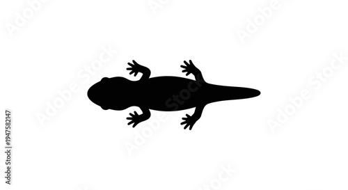 Black silhouette of a lizard overhead.