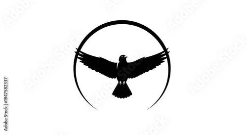 Black silhouette of eagle flying.