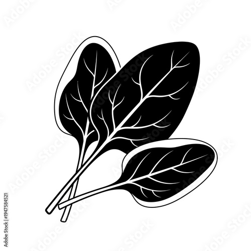 Black and white illustration of three spinach leaves with detailed veins