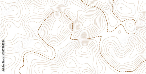 Contour background geographic grid. Vector illustration. Topographic map background. 