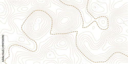 Contour background geographic grid. Vector illustration. Topographic map background. 