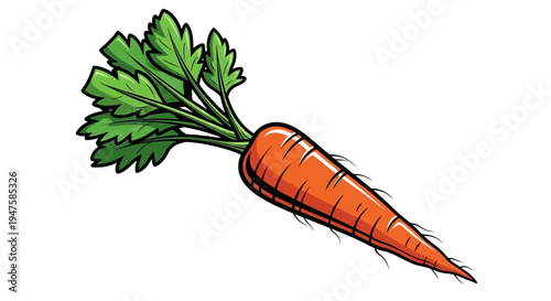 Fresh Orange Carrot with Green Leaves Isolated on White.