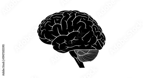 Human Brain Illustration with White Lines.