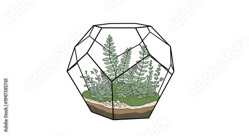 Geometric Glass Terrarium with Lush Green Plants Inside.