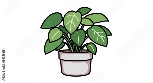 Green potted houseplant with large leaves in a white pot.