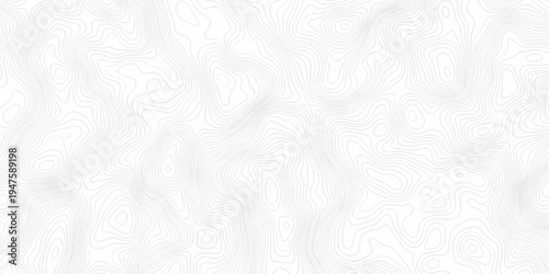 Minimal topography map area wallpaper. vector topo paper lines. Topographic contour lines grid map pattern. Geographic mountain relief. Contour hiking design.