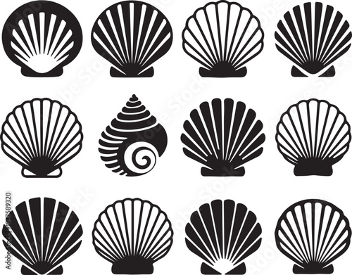 Collection of black seashell and conch silhouette icons on transparent background