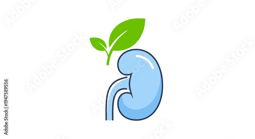 Kidney Illustration with Green Leaves Sprouting.
