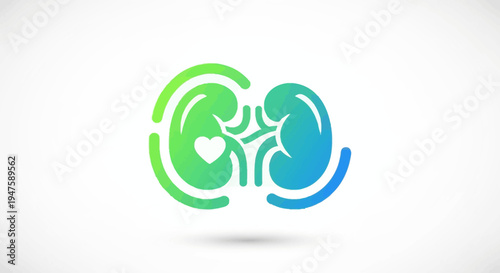 Kidney Logo Design Green Blue Health.