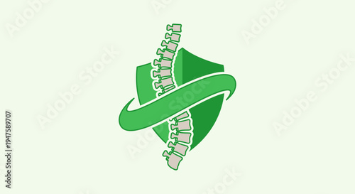 Spine Anatomy Illustration with Green Shield.
