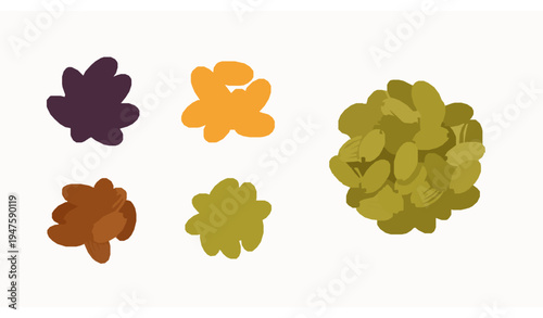 Flat style raisins collection in bowl dark golden and green dried fruit vector set isolated on white